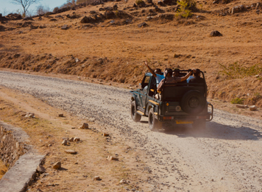 Jeep Safari