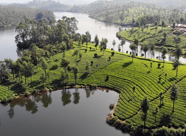 Majestic Ranikhet & Nainital